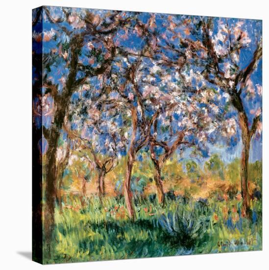 Spring in Giverny-Claude Monet-Stretched Canvas