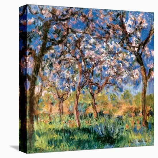 Spring in Giverny-Claude Monet-Stretched Canvas