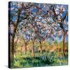 Spring in Giverny-Claude Monet-Stretched Canvas