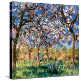 Spring in Giverny-Claude Monet-Stretched Canvas
