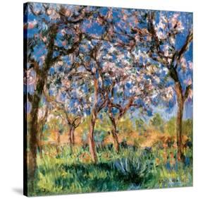 Spring in Giverny-Claude Monet-Stretched Canvas