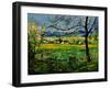 Spring In Herock 57-Pol Ledent-Framed Art Print