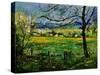 Spring In Herock 57-Pol Ledent-Stretched Canvas