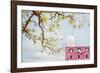 Spring In Italy-Brooke T. Ryan-Framed Photographic Print