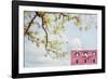 Spring In Italy-Brooke T. Ryan-Framed Photographic Print