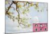 Spring In Italy-Brooke T. Ryan-Mounted Photographic Print