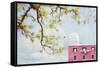 Spring In Italy-Brooke T. Ryan-Framed Stretched Canvas