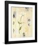 Spring in Japan I-null-Framed Art Print