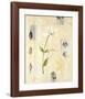 Spring in Japan I-null-Framed Art Print