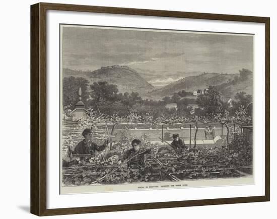 Spring in Portugal, Trimming the Grape Vines-null-Framed Giclee Print