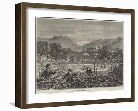 Spring in Portugal, Trimming the Grape Vines-null-Framed Giclee Print
