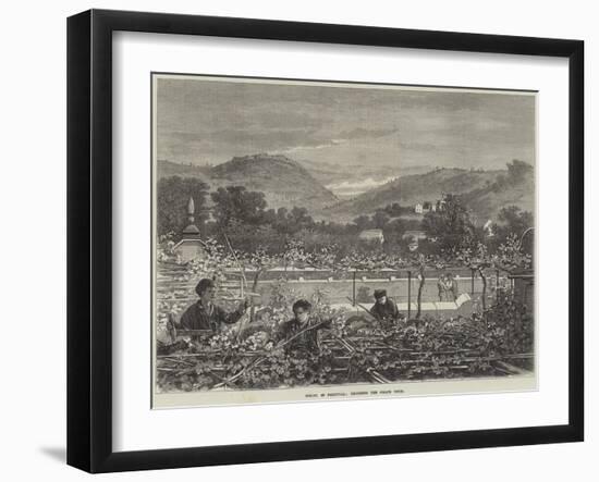 Spring in Portugal, Trimming the Grape Vines-null-Framed Giclee Print