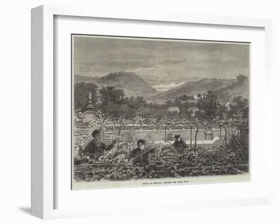 Spring in Portugal, Trimming the Grape Vines-null-Framed Giclee Print