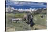 Spring in the Alps, 1897-Giovanni Segantini-Stretched Canvas