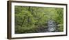 Spring in the Bodetal, Bode, Harz National Park, Saxony-Anhalt, Germany-Michael Jaeschke-Framed Photographic Print