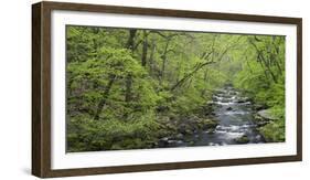 Spring in the Bodetal, Bode, Harz National Park, Saxony-Anhalt, Germany-Michael Jaeschke-Framed Photographic Print