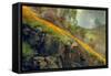 Spring in the Canyon-Vincent James-Framed Stretched Canvas