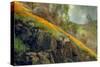 Spring in the Canyon-Vincent James-Stretched Canvas