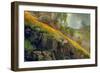 Spring in the Canyon-Vincent James-Framed Photographic Print