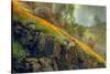 Spring in the Canyon-Vincent James-Stretched Canvas