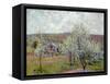 Spring in the Environs of Paris, Apple Blossom, 1879-Alfred Sisley-Framed Stretched Canvas