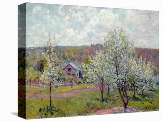 Spring in the Environs of Paris, Apple Blossom, 1879-Alfred Sisley-Stretched Canvas