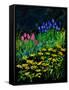 Spring In The Garden-Pol Ledent-Framed Stretched Canvas