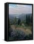 Spring in the Garden-Christian Eriksen Skredsvig-Framed Stretched Canvas