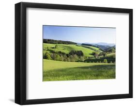 Spring in the Glottertal, Black Forest, Baden-Wurttemberg, Germany-Markus Lange-Framed Photographic Print