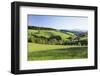 Spring in the Glottertal, Black Forest, Baden-Wurttemberg, Germany-Markus Lange-Framed Photographic Print