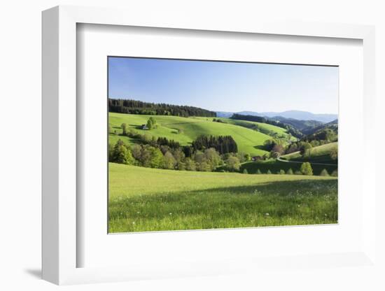 Spring in the Glottertal, Black Forest, Baden-Wurttemberg, Germany-Markus Lange-Framed Photographic Print