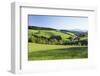 Spring in the Glottertal, Black Forest, Baden-Wurttemberg, Germany-Markus Lange-Framed Photographic Print