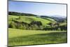 Spring in the Glottertal, Black Forest, Baden-Wurttemberg, Germany-Markus Lange-Mounted Photographic Print