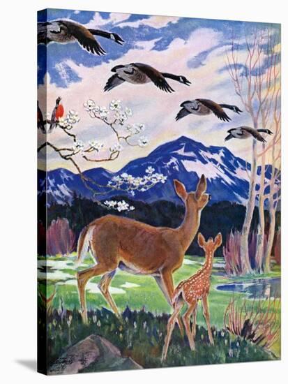 "Spring in the Meadow,"March 1, 1938-Paul Bransom-Stretched Canvas