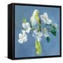 Spring in the Neighborhood II-Danhui Nai-Framed Stretched Canvas