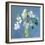 Spring in the Neighborhood II-Danhui Nai-Framed Art Print