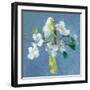 Spring in the Neighborhood II-Danhui Nai-Framed Art Print