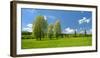 Spring in the Unstruttal, Poplars on Meadow with Dandelion, Near Freyburg-Andreas Vitting-Framed Photographic Print