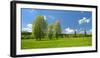 Spring in the Unstruttal, Poplars on Meadow with Dandelion, Near Freyburg-Andreas Vitting-Framed Photographic Print