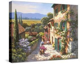 Spring in the Valley-Sung Kim-Stretched Canvas