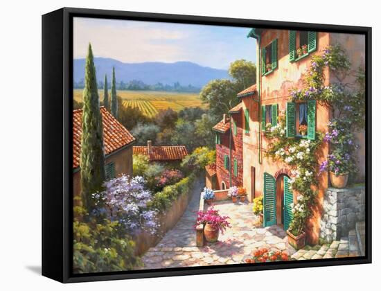 Spring in the Valley-Sung Kim-Framed Stretched Canvas