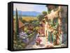 Spring in the Valley-Sung Kim-Framed Stretched Canvas