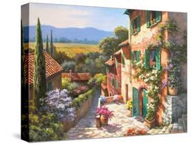 Spring in the Valley-Sung Kim-Stretched Canvas