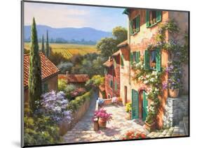 Spring in the Valley-Sung Kim-Mounted Art Print