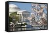 Spring in Washington DC - Cherry Blossom Festival at Jefferson Memorial-Orhan-Framed Stretched Canvas