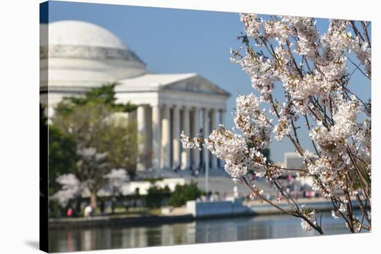 Spring in Washington DC - Cherry Blossom Festival at Jefferson Memorial-Orhan-Stretched Canvas