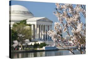 Spring in Washington DC - Cherry Blossom Festival at Jefferson Memorial-Orhan-Stretched Canvas
