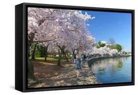 Spring in Washington DC - Cherry Blossom Festival at Jefferson Memorial-Orhan-Framed Stretched Canvas