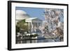 Spring in Washington DC - Cherry Blossom Festival at Jefferson Memorial-Orhan-Framed Photographic Print