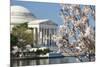 Spring in Washington DC - Cherry Blossom Festival at Jefferson Memorial-Orhan-Mounted Photographic Print